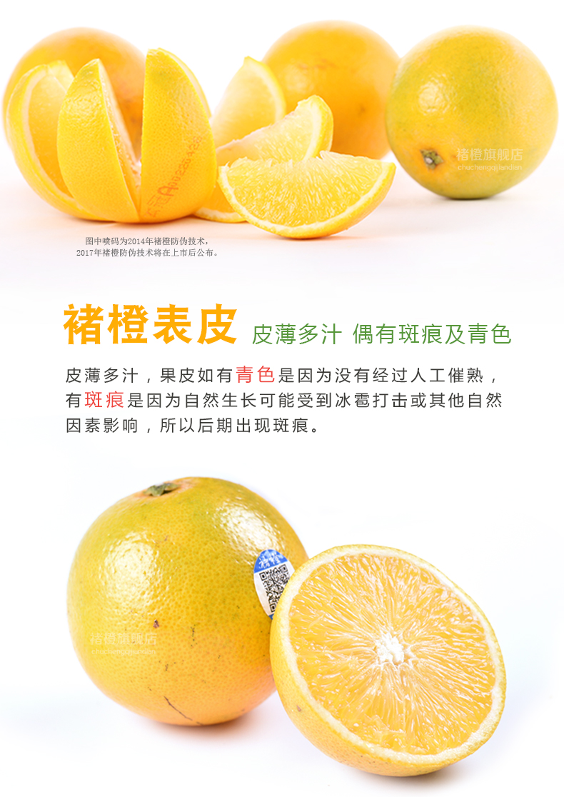 冰糖橙褚时健橙褚橙图片