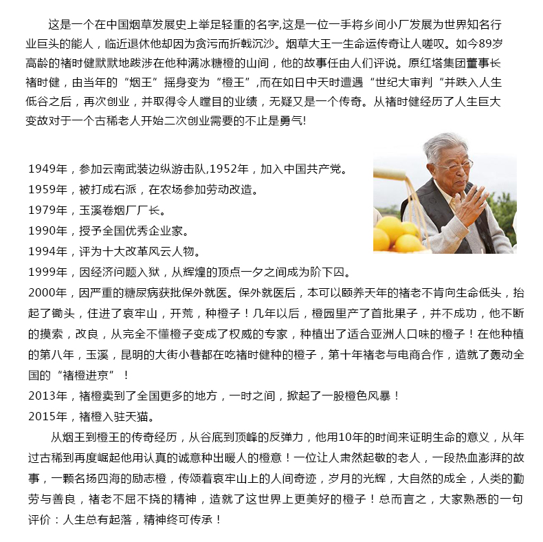 冰糖橙褚时健橙褚橙图片