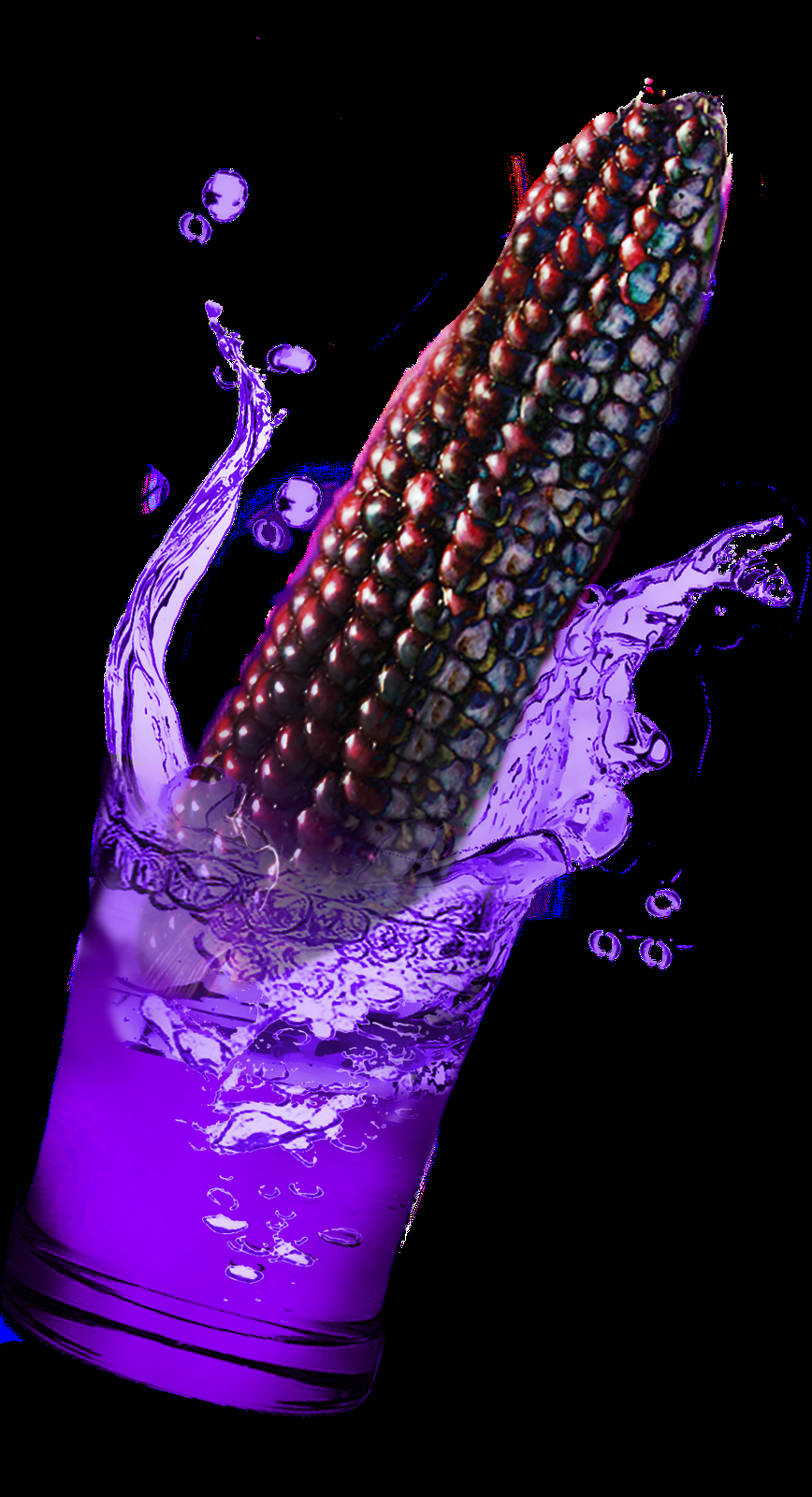 紫玉米花青素,抗衰老，减肥，糯玉米产地_紫糯玉米